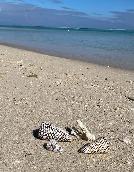 Villa La Playa Pieds Dans L'Eau Lagon + Piscine Saint-Gilles-les Bains Eksteriør bilde